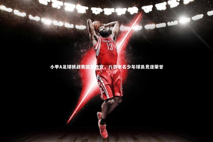 YY易游体育平台_小甲A足球挑战赛圆满收官，八百余名少年球员竞逐荣誉