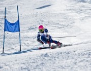 YY易游体育平台：LFY一比零轻取Vega ddc辅助巫医超神奠定胜局